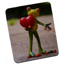 Tapis de souris  GRENOUILLE