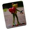 Tapis de souris  GRENOUILLE