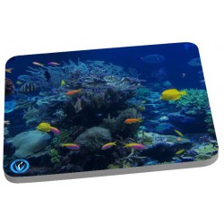Tapis de sourie poissons