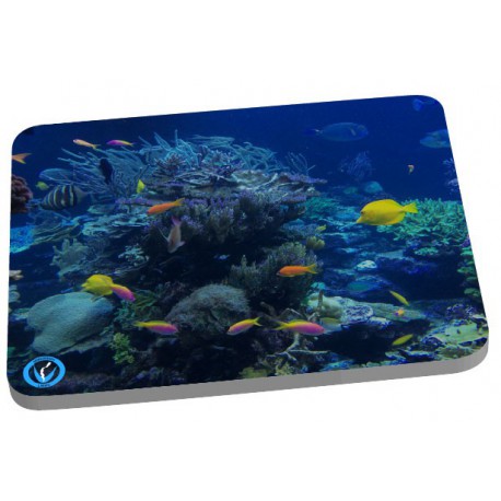 Tapis de sourie poissons