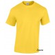 T-SHIRT MANCHES COURTES Homme